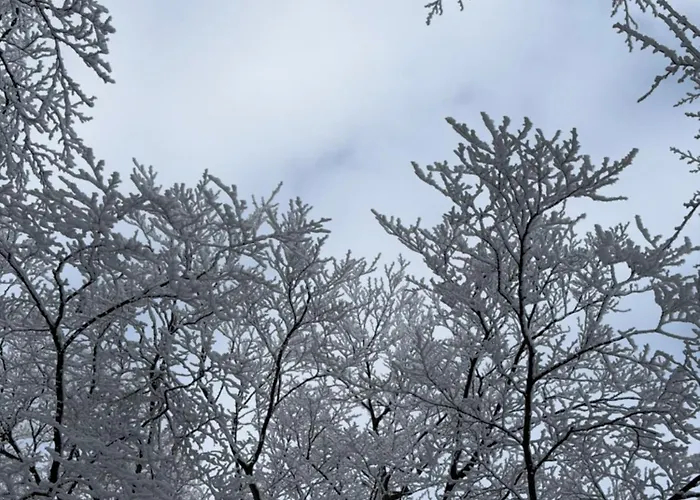 Apartamento Red Water